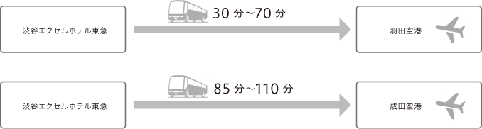 AIRPORT BUS ACCESS